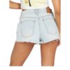 Volcom 1991 Stone Short Asl